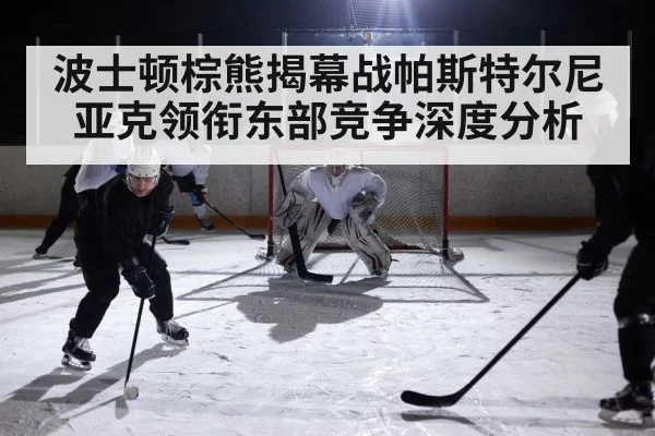 ice hockey game action | kaiyun
